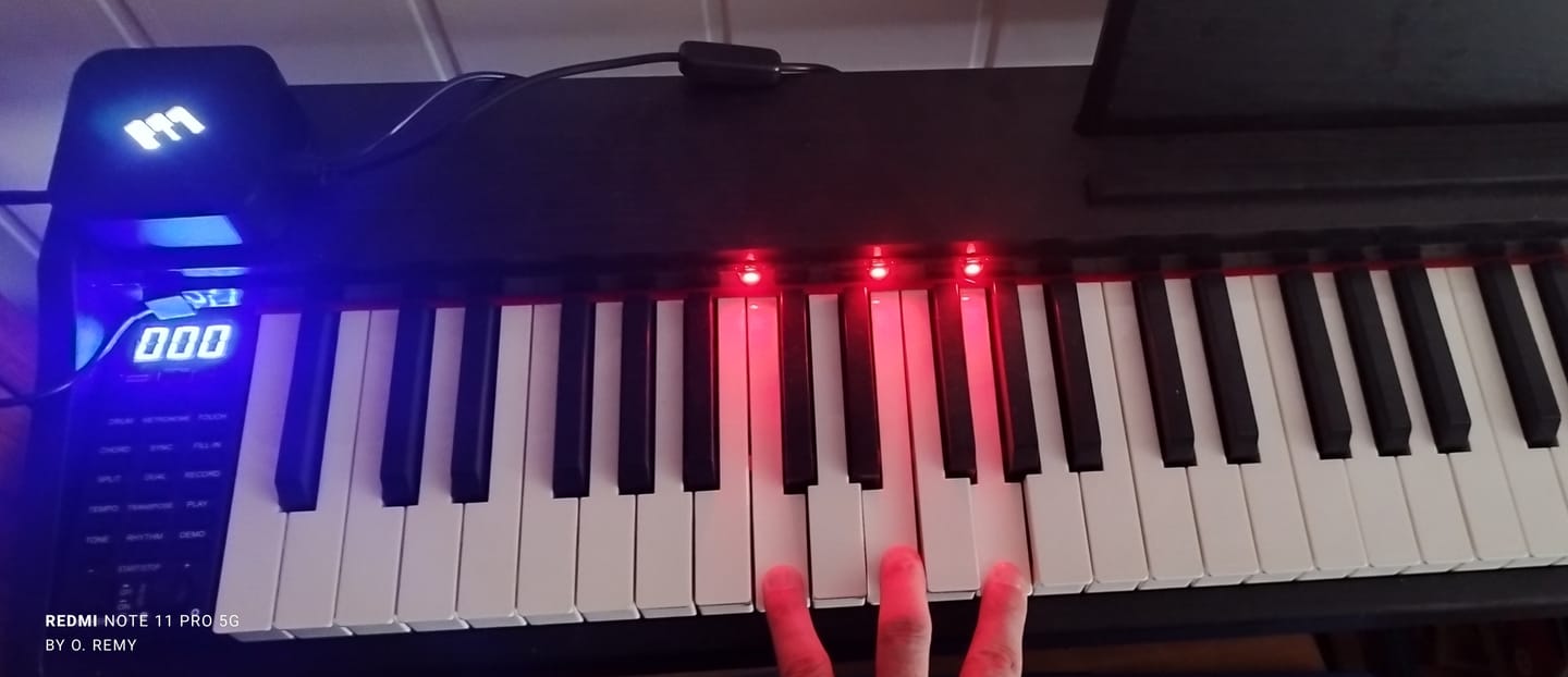 Customer photo review of the Piano LED Plus 2026