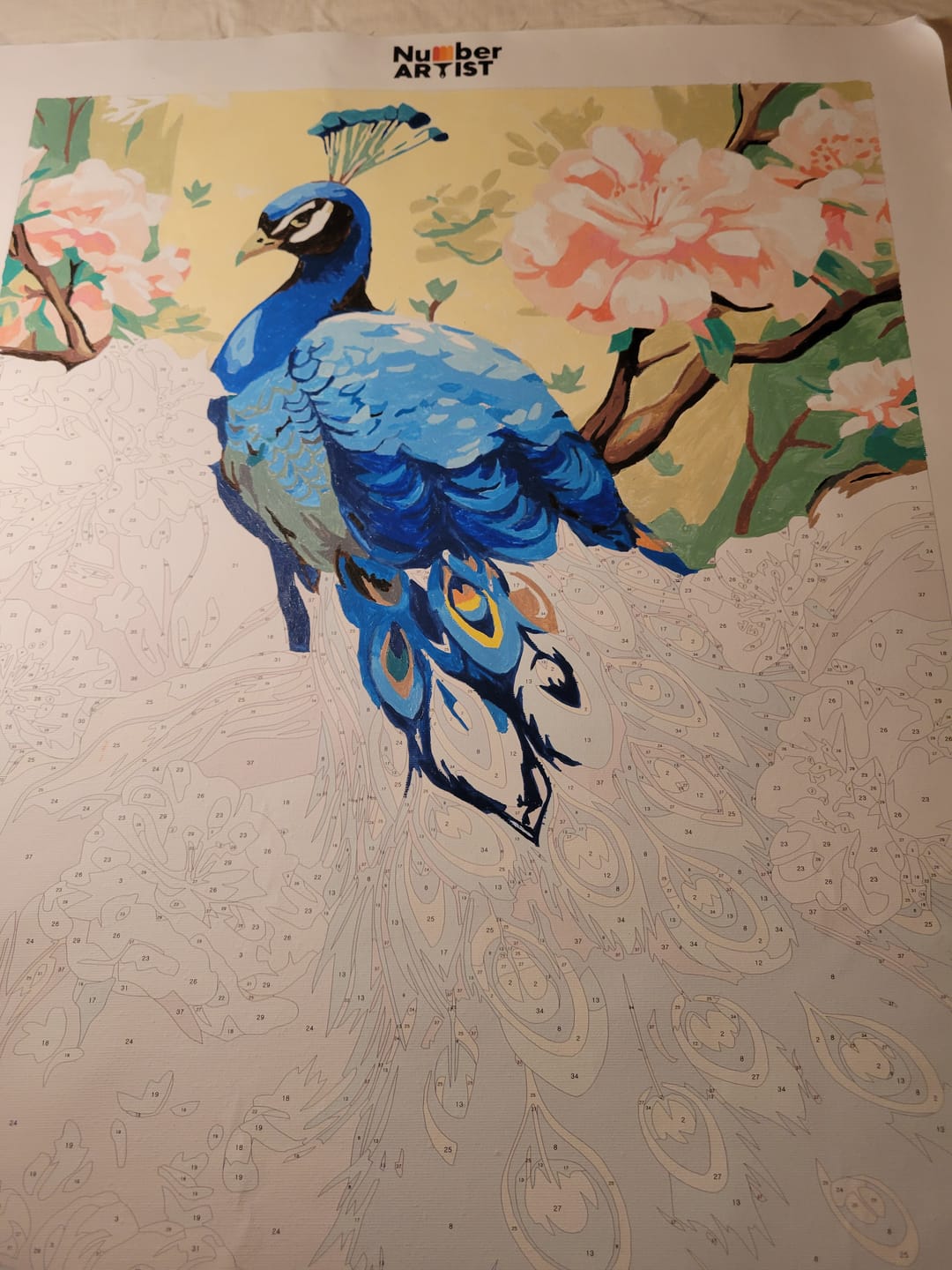 Customer photo review of Charming Peacock
