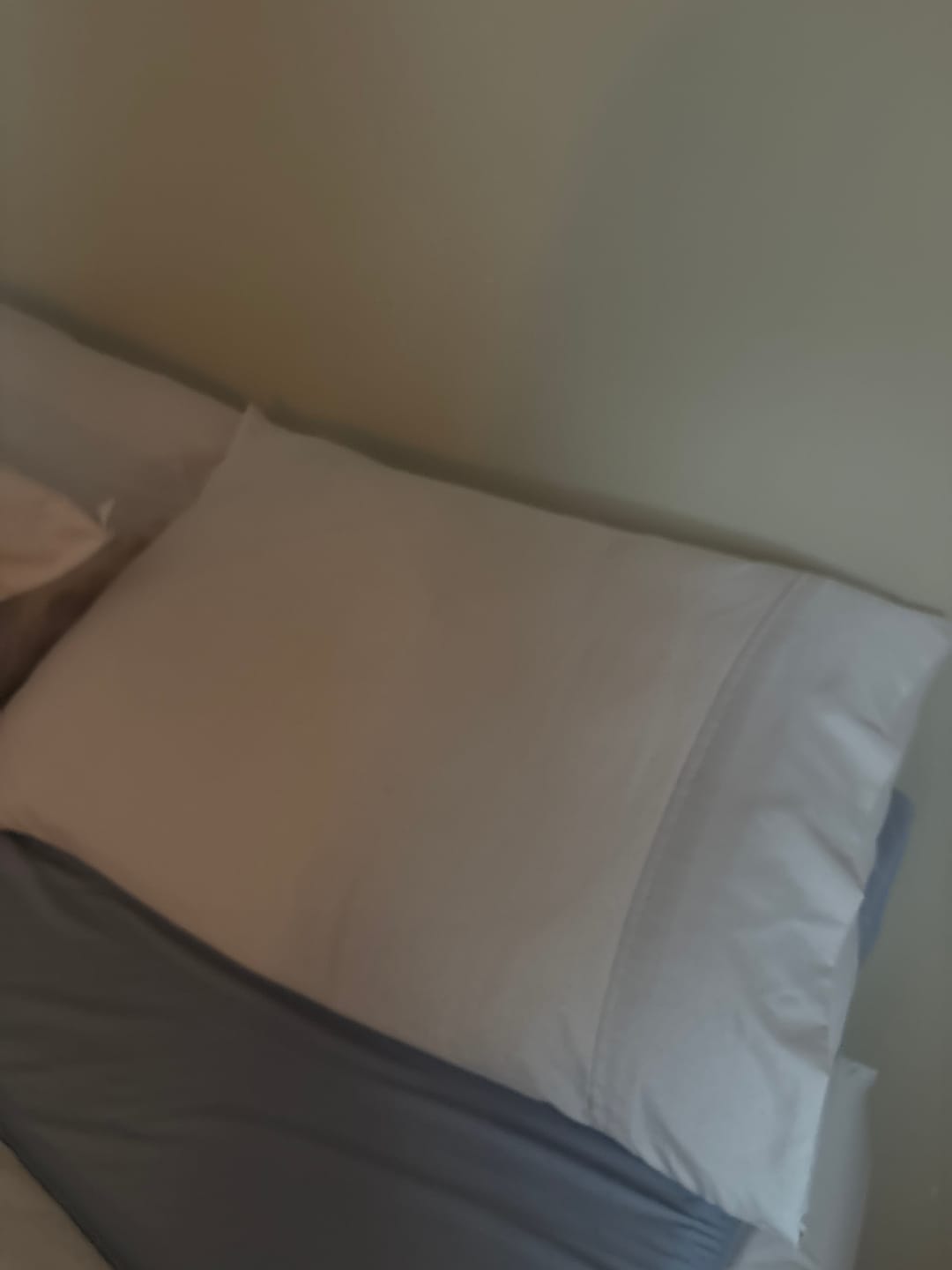 Customer photo review of Ploof Pillow