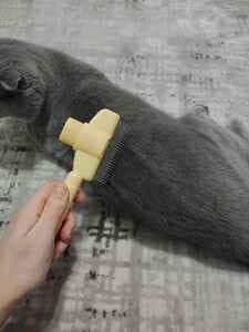 Customer photo review of PatiÖdül™ Kedi Tırnak Törpüleme & Oyun Kutusu