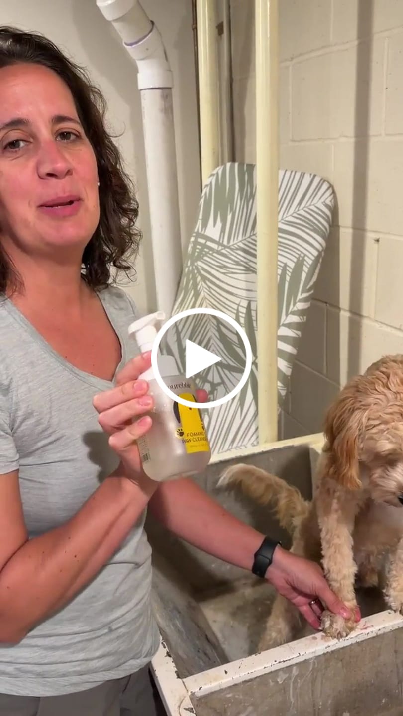 Customer video review of Pet Paw Foaming Cleanser