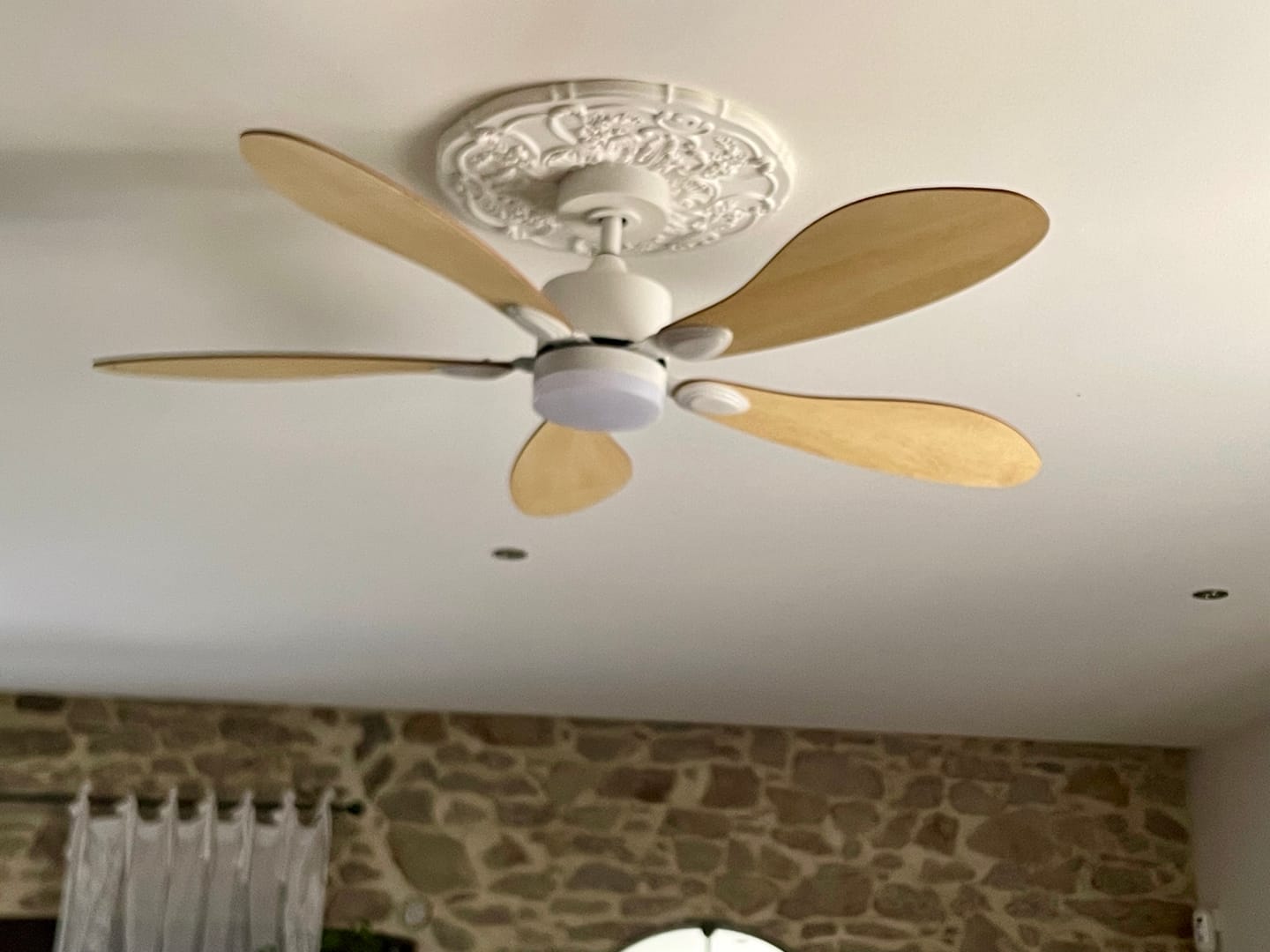 Customer photo review of Libellule teinté Chêne | Ventilateur de plafond