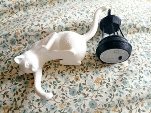 Customer photo review of Paws For Lores™ | Bookshelf Cat Lantern
