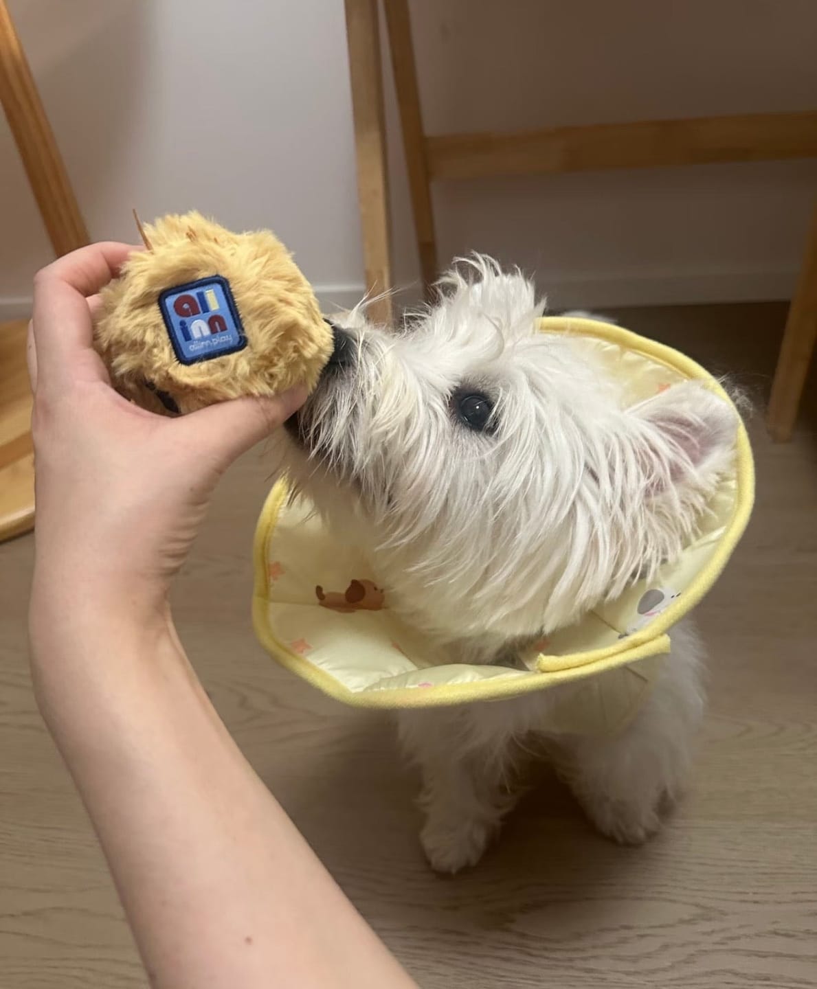 Customer photo review of Cairn Ball · Blend