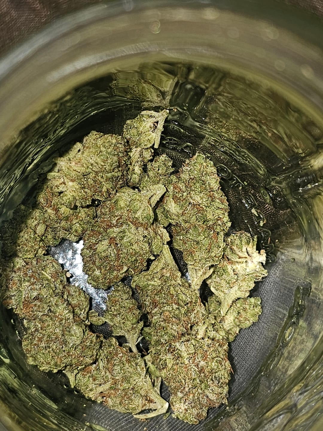 Customer photo review of Strawberry Cough THCA Flower