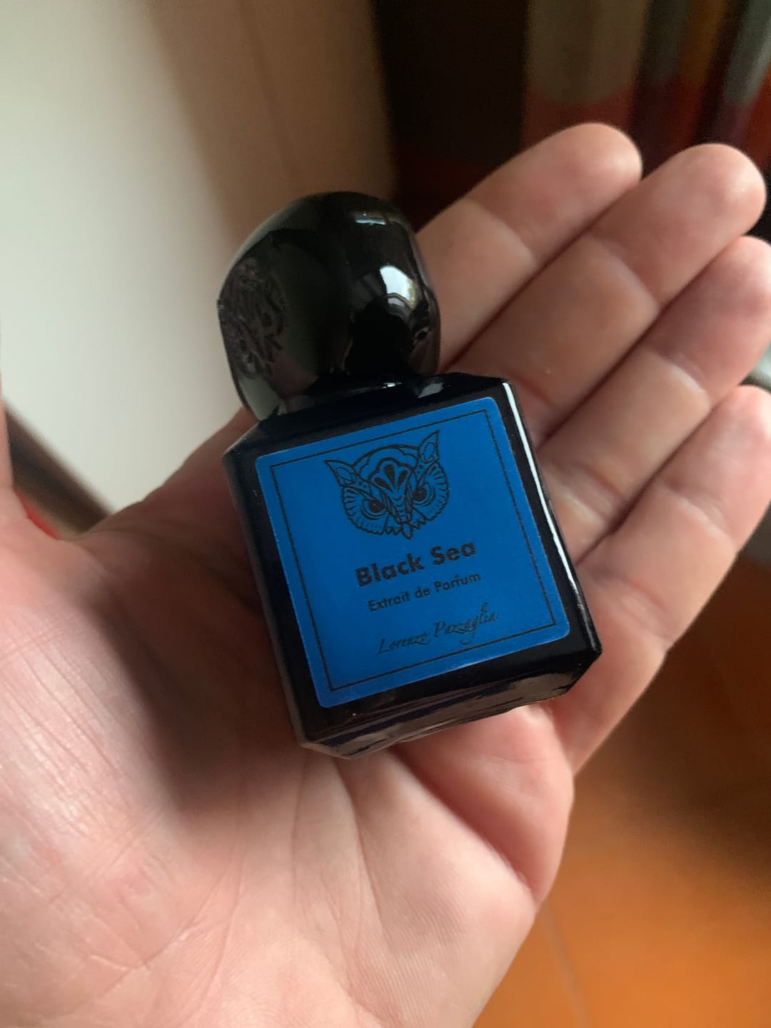 Customer photo review of LORENZO PAZZAGLIA - BLACK SEA
