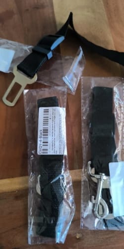 Customer photo review of Dog Safety Seat Belt
