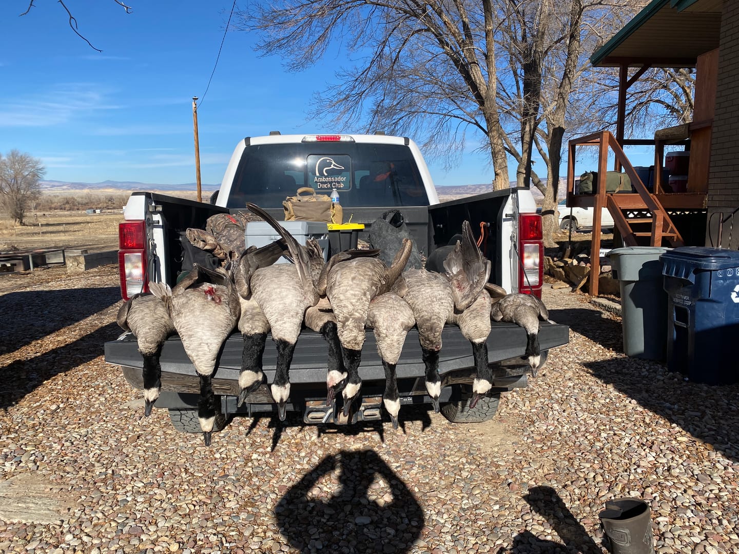 Customer photo review of SFX Goose Call