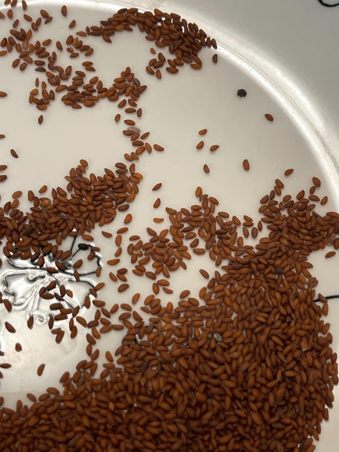 Customer photo review of Nutri Glow Garden Cress (Halim Seeds) – 250g | Ready to Eat