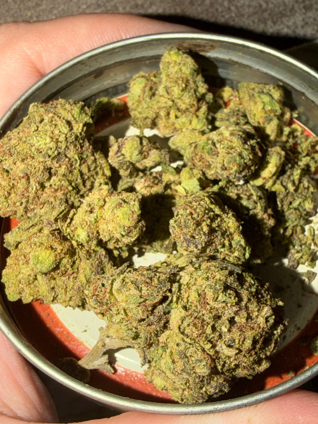 Customer photo review of Toadlato THCA Flower