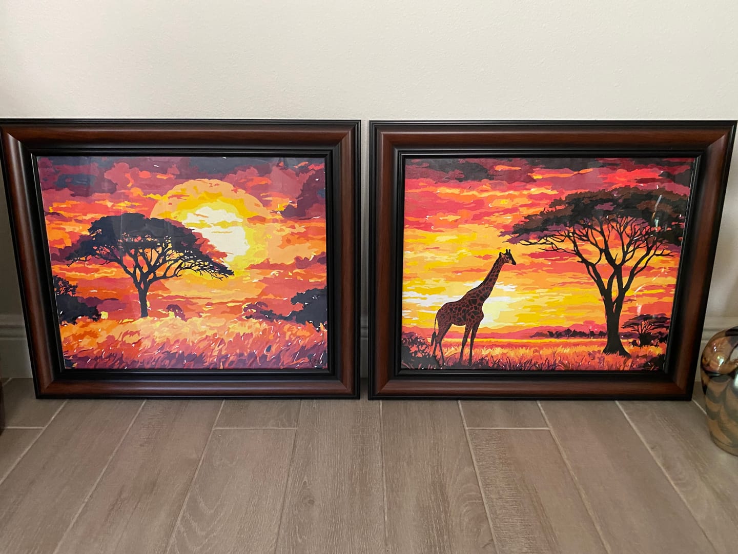 Customer photo review of Savanna Sunset