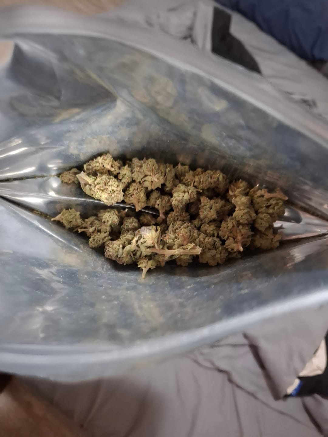 Customer photo review of Light Assist THCA Smalls
