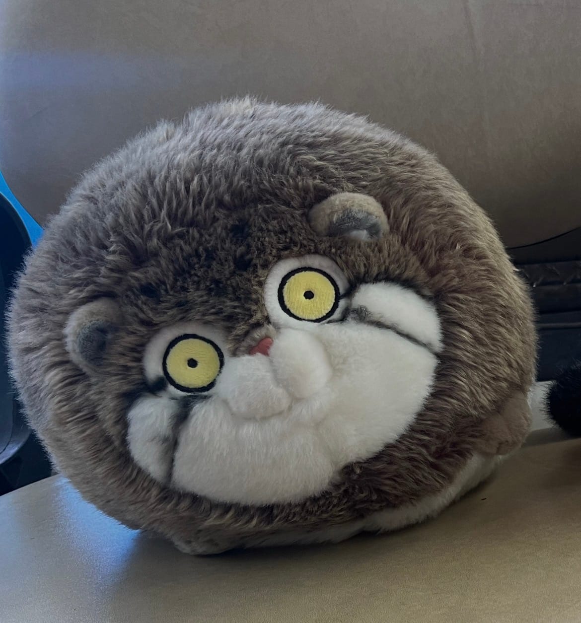 Customer photo review of Chubby Pallas's Cat Stuffed Animal Plush Toy, Manul Plushies