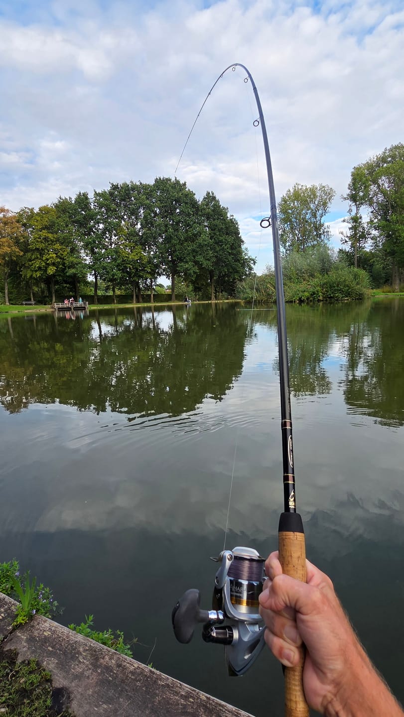 Customer photo review of SINGLE ROD SLEEVES