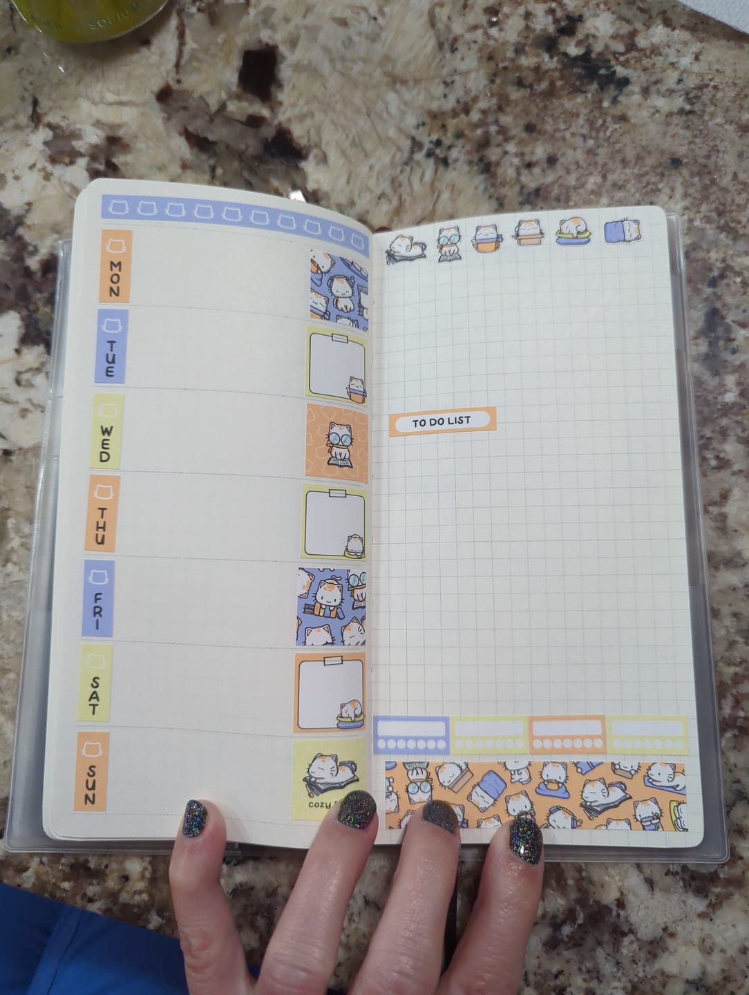 Customer photo review of Cozy Cats Theme Hobonichi Weeks Kit
