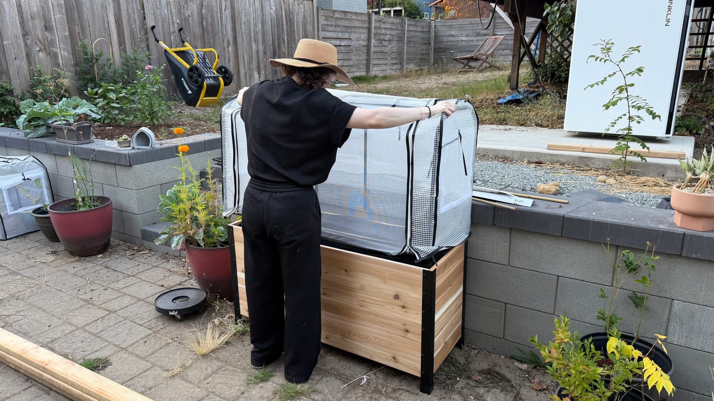 Customer photo review of Greenhouse Cover