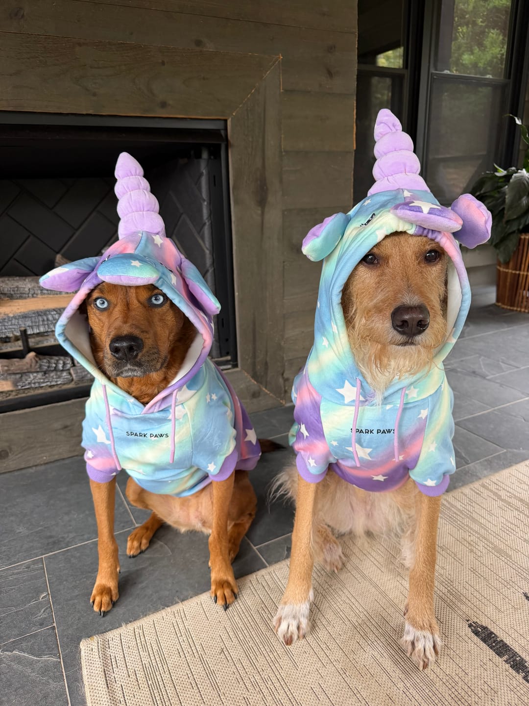 Customer photo review of Halloween Dog Hoodie - Unicorn (2)