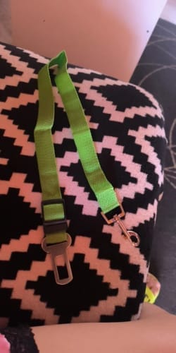 Customer photo review of Dog Safety Seat Belt