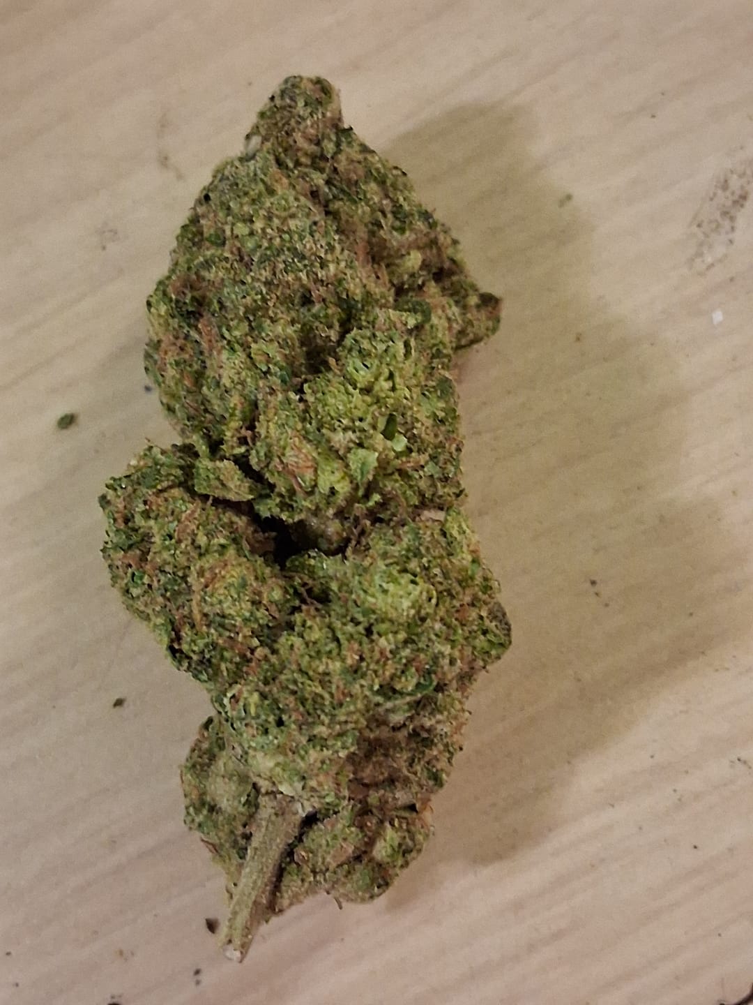 Customer photo review of Super Jack - Bulk- Hybrid