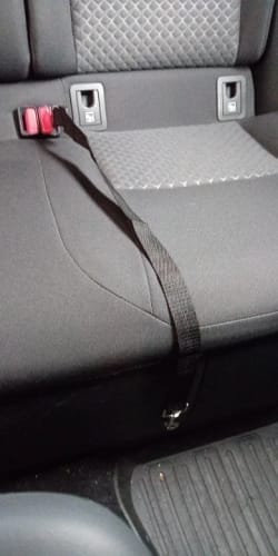 Customer photo review of Dog Safety Seat Belt