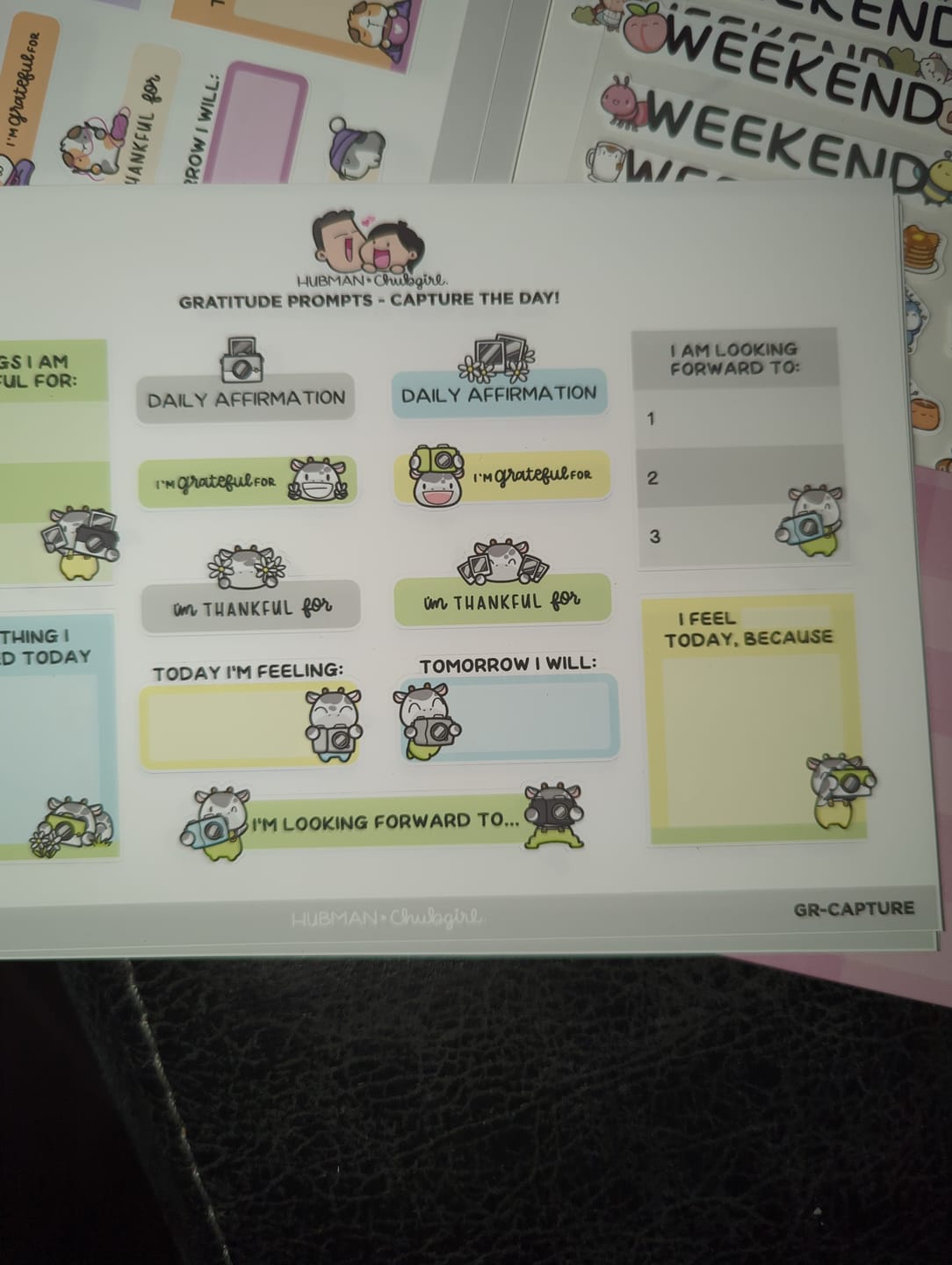 Customer photo review of Sticker Sheet - Gratitude Prompts Capture the Day Theme