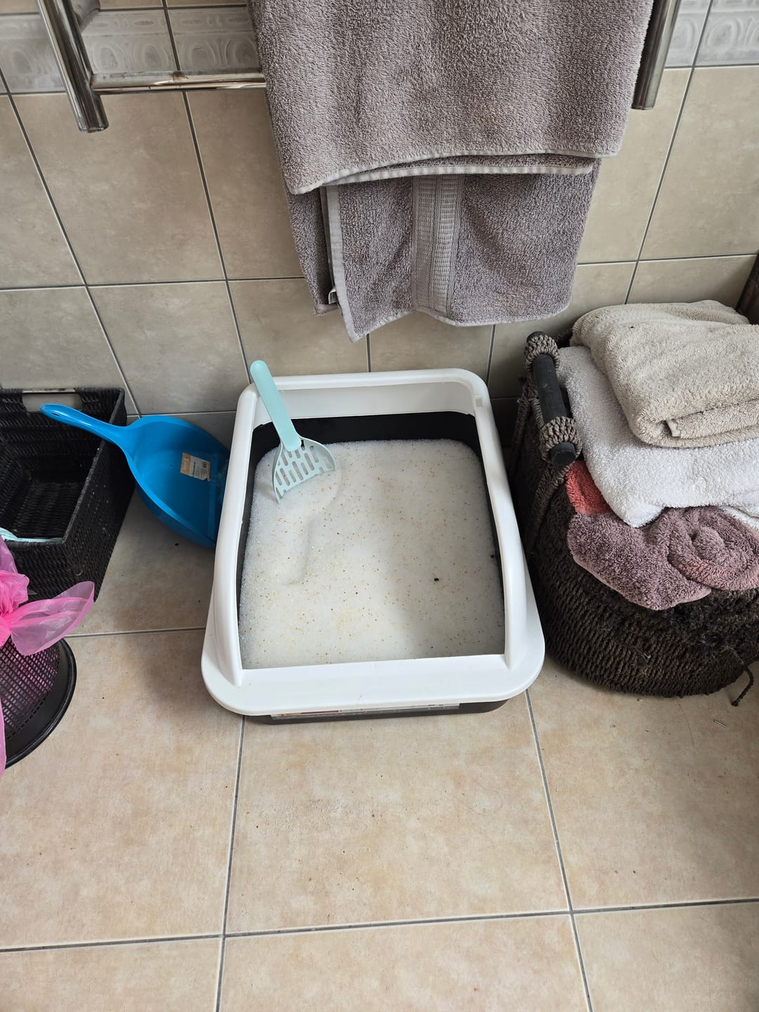 Customer photo review of Fit Litter