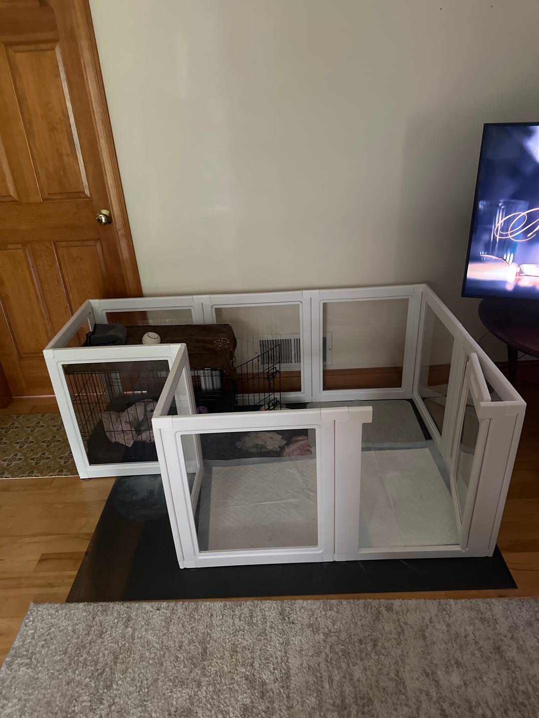 Customer photo review of AuraSpace Acrylic Indoor Dog Playpen for Small to Medium Dogs