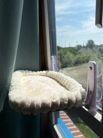 Customer photo review of Cat Hammock