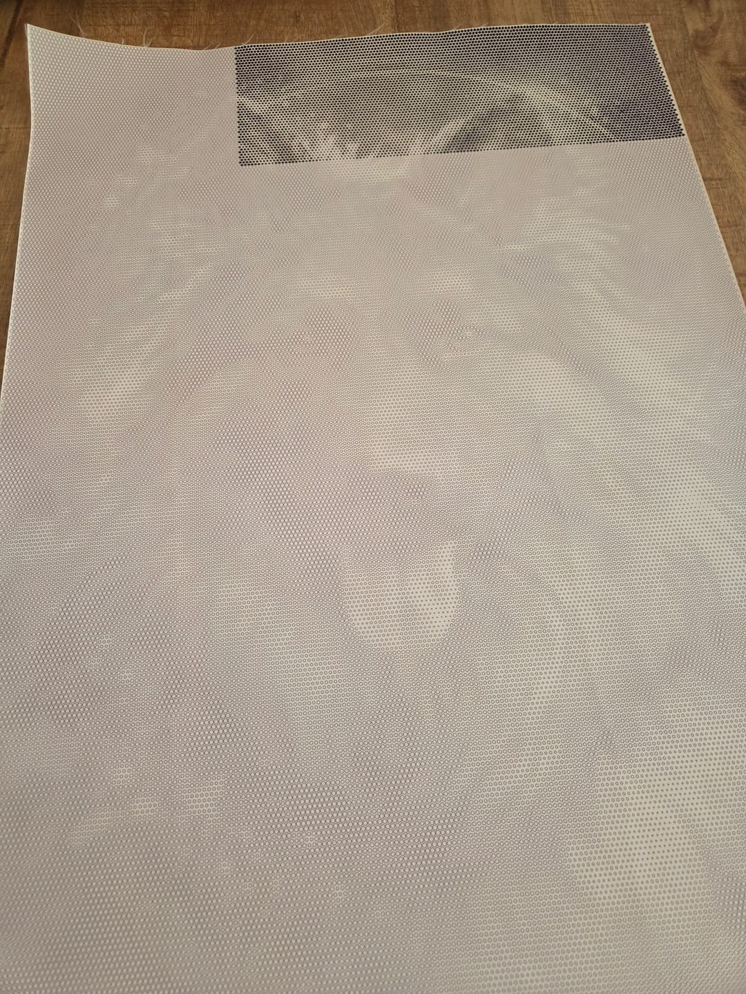 Customer photo review of Dot painting van eigen foto - gemaakt in Nederland