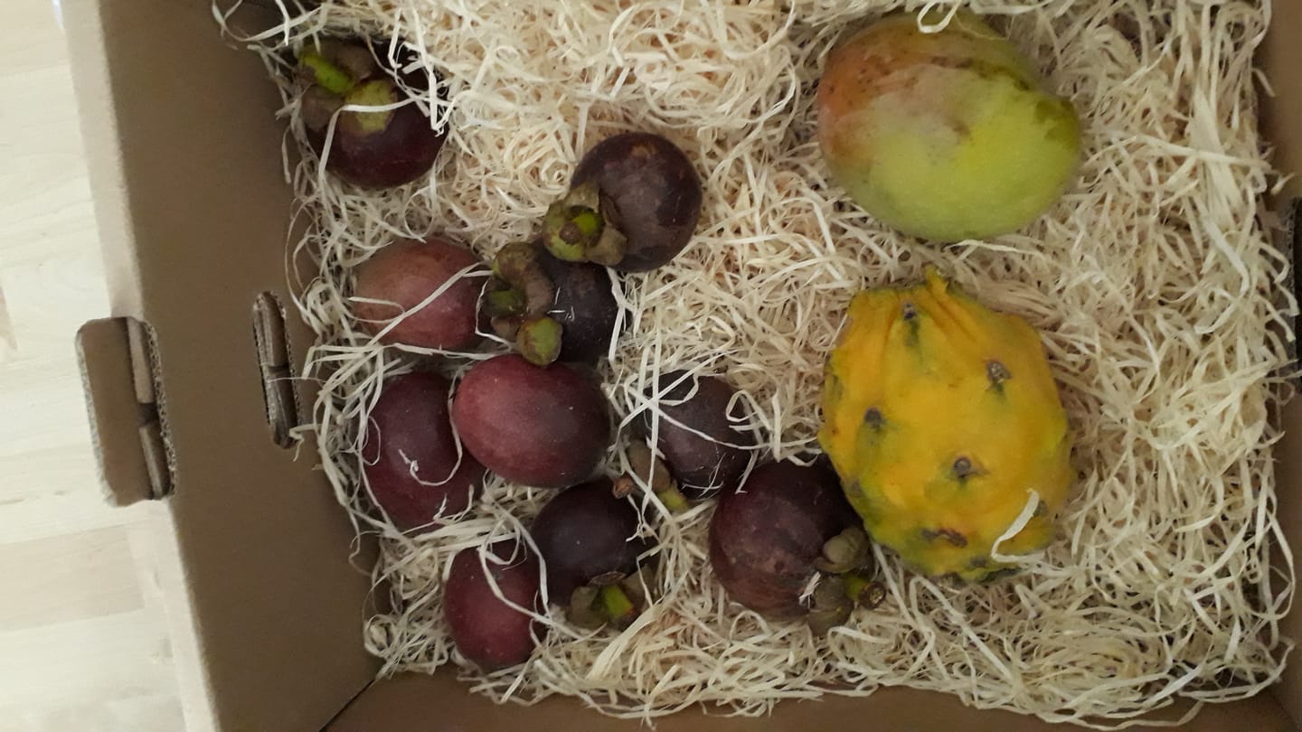 Customer photo review of Exotische Früchtebox "Tropen Träumerei"
