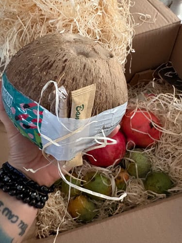 Customer's Frische Trink Kokosnuss Bio Drink & Eat, held in a hand with a wooden pick and straw attached to the side.