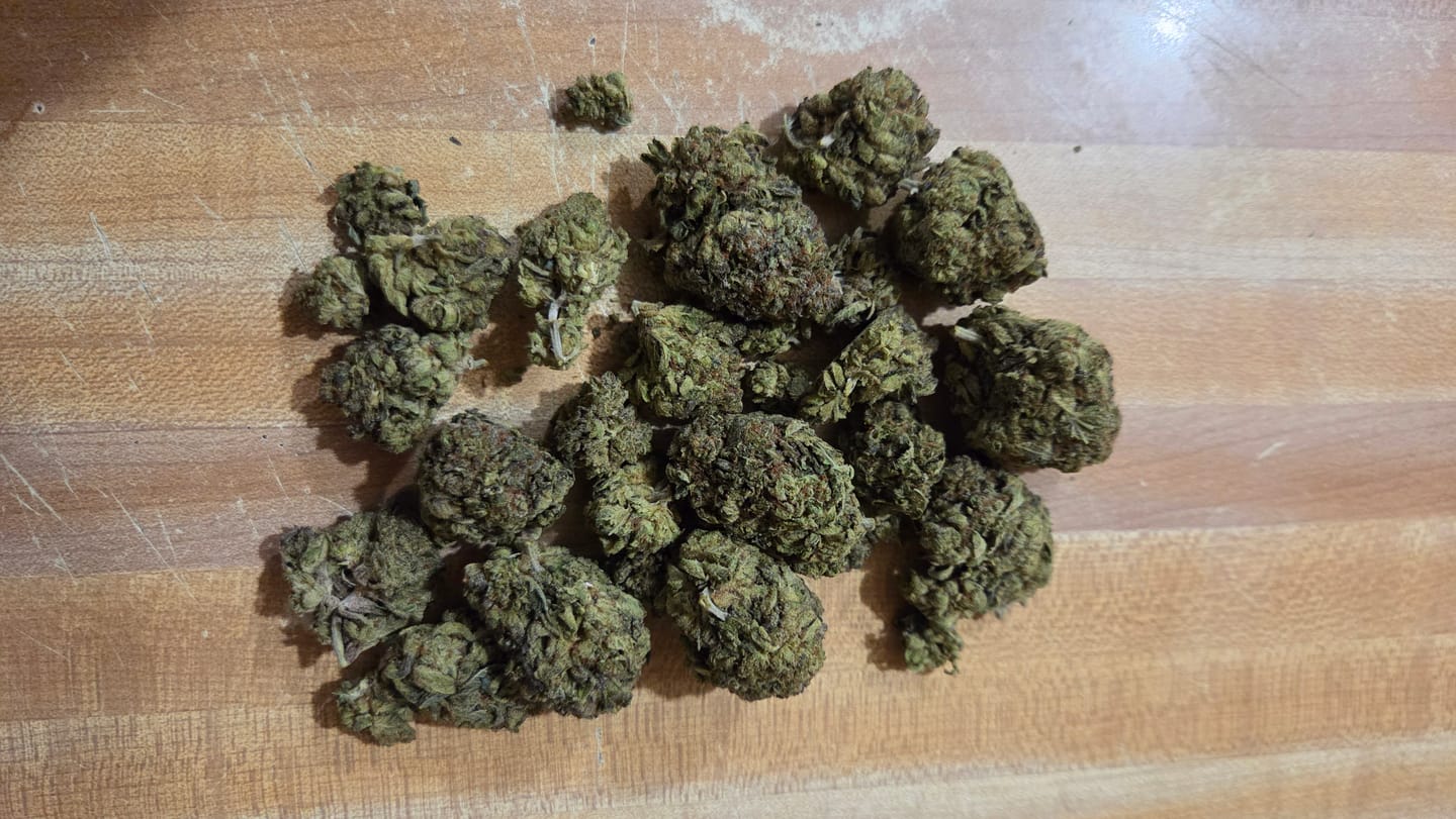 Customer photo review of Gary Payton