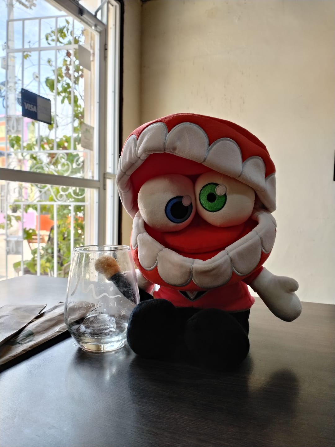 Customer photo review of Caine Plush