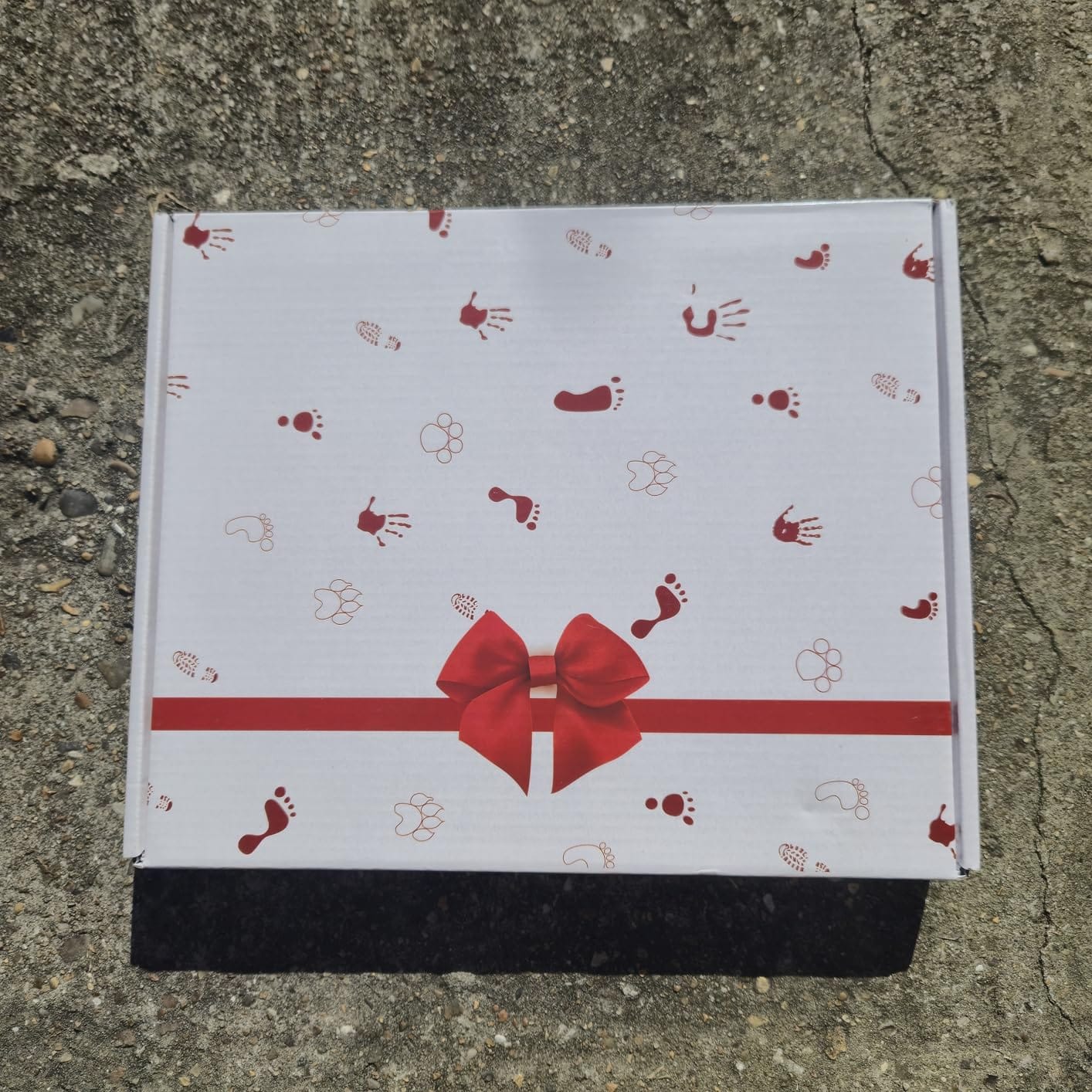 Customer photo review of BeliPaw™ - DIY Pet Paw Print Kit