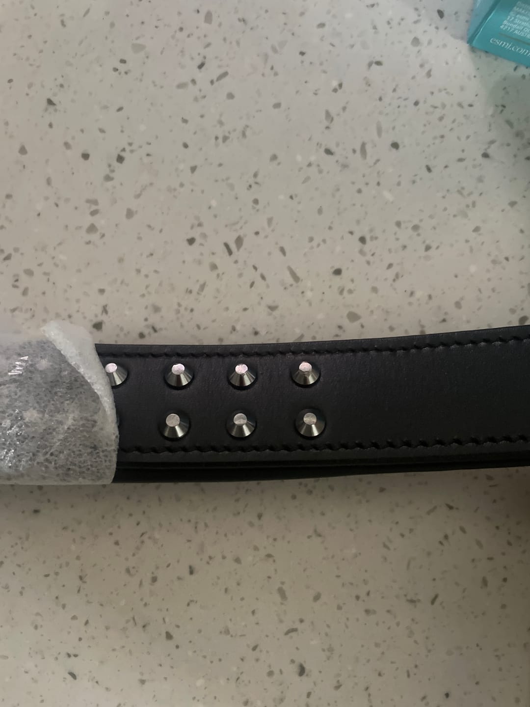 Customer photo review of Hand Made Leather Dog Collar Black & Chrome Classic (Regular Fit)