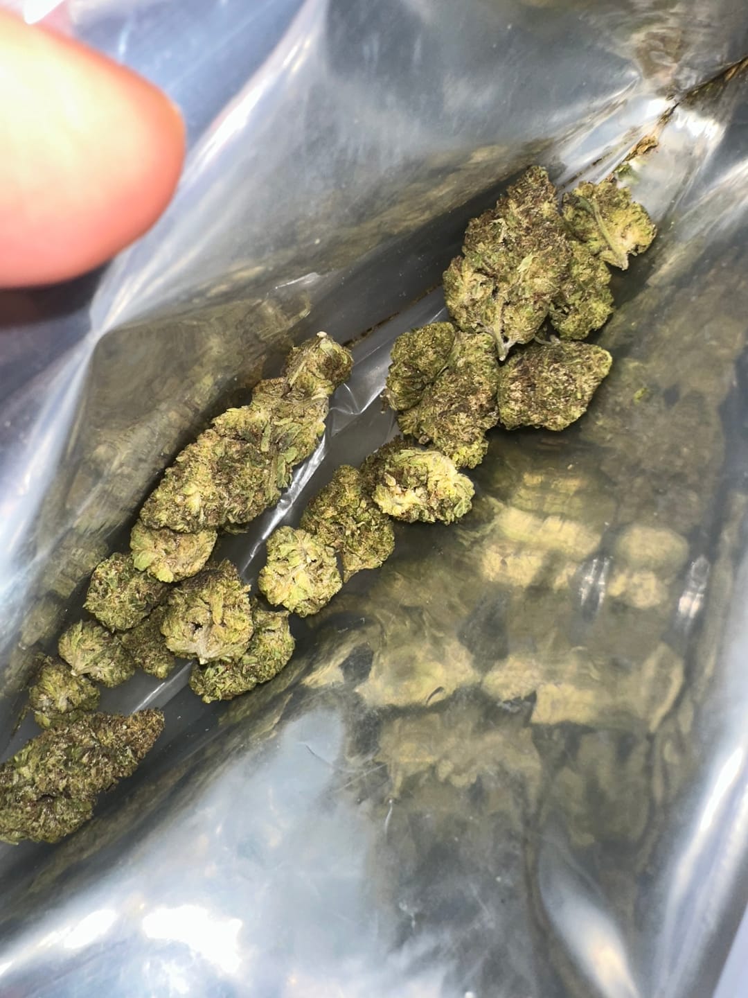 Customer photo review of Gelato Bomb Greenhouse THCA