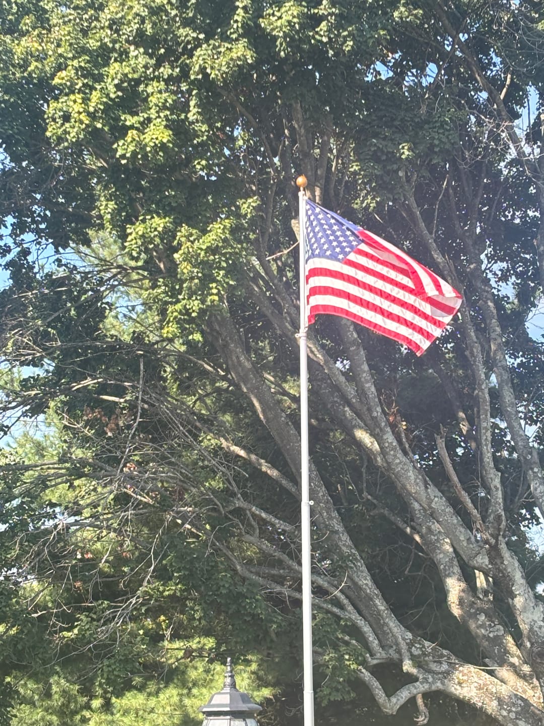 Customer photo review of 3' x 5' American Flag
