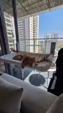 Customer photo review of Cat Hammock