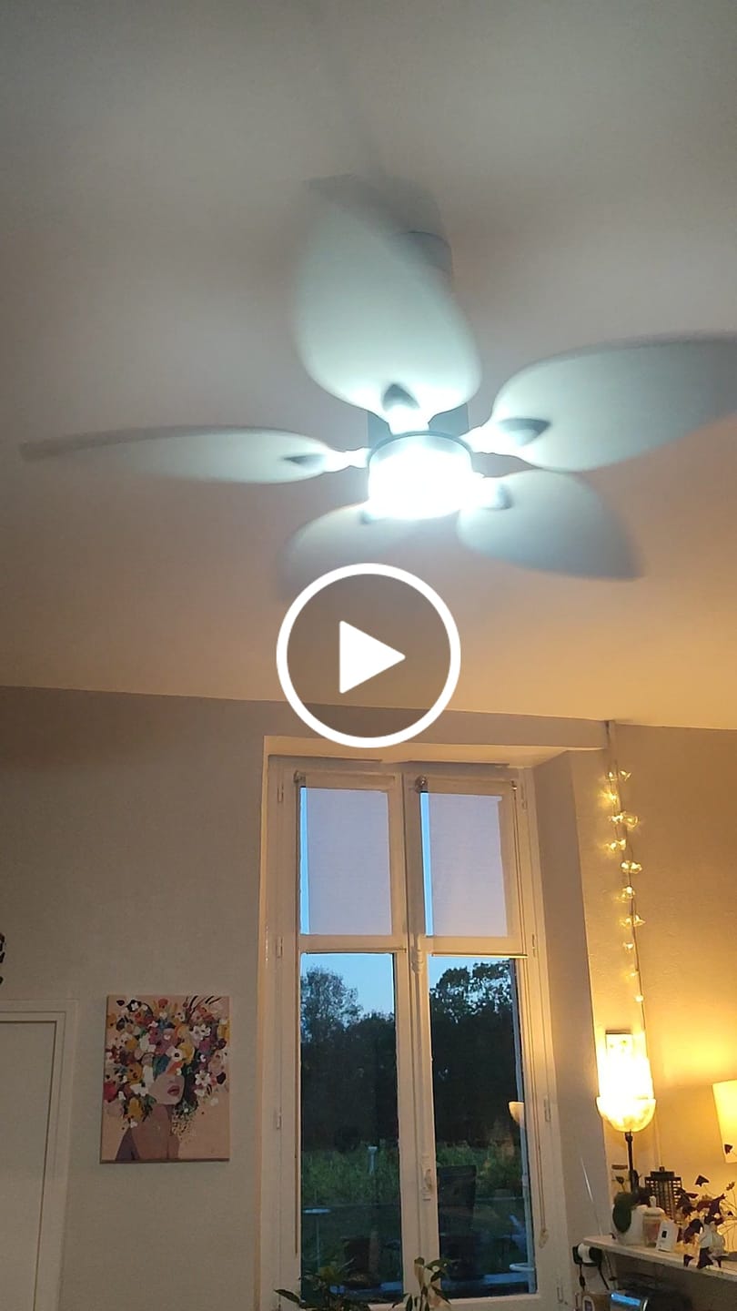 Customer video review of Virevole | Ventilateur de plafond