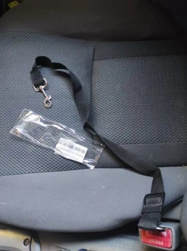 Customer photo review of Dog Safety Seat Belt