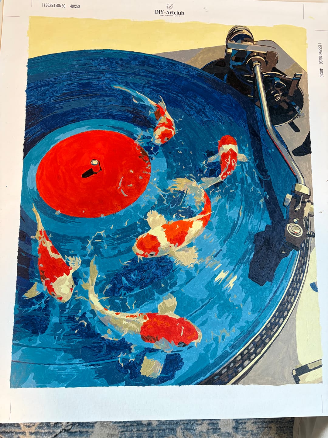 Customer photo review of Koi Records | Paint by Number