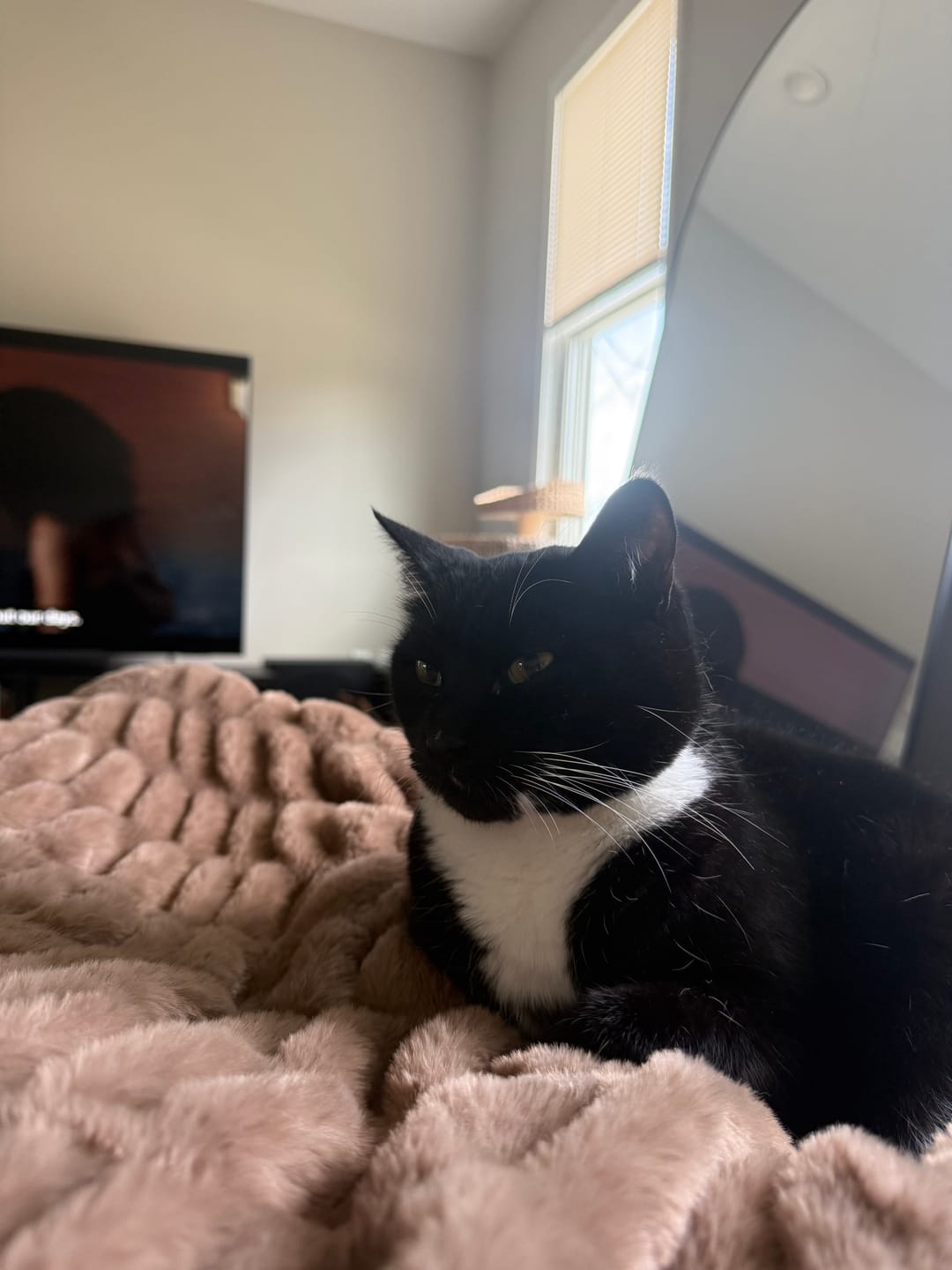 Customer photo review of Hugs Milk Chocolate Blanket