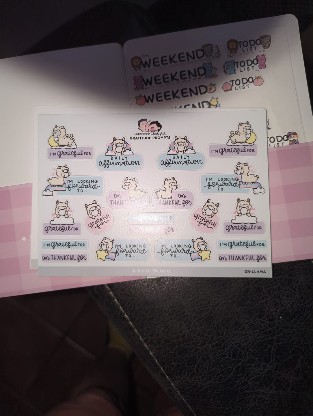 Customer photo review of Sticker Sheet - Gratitude Prompts