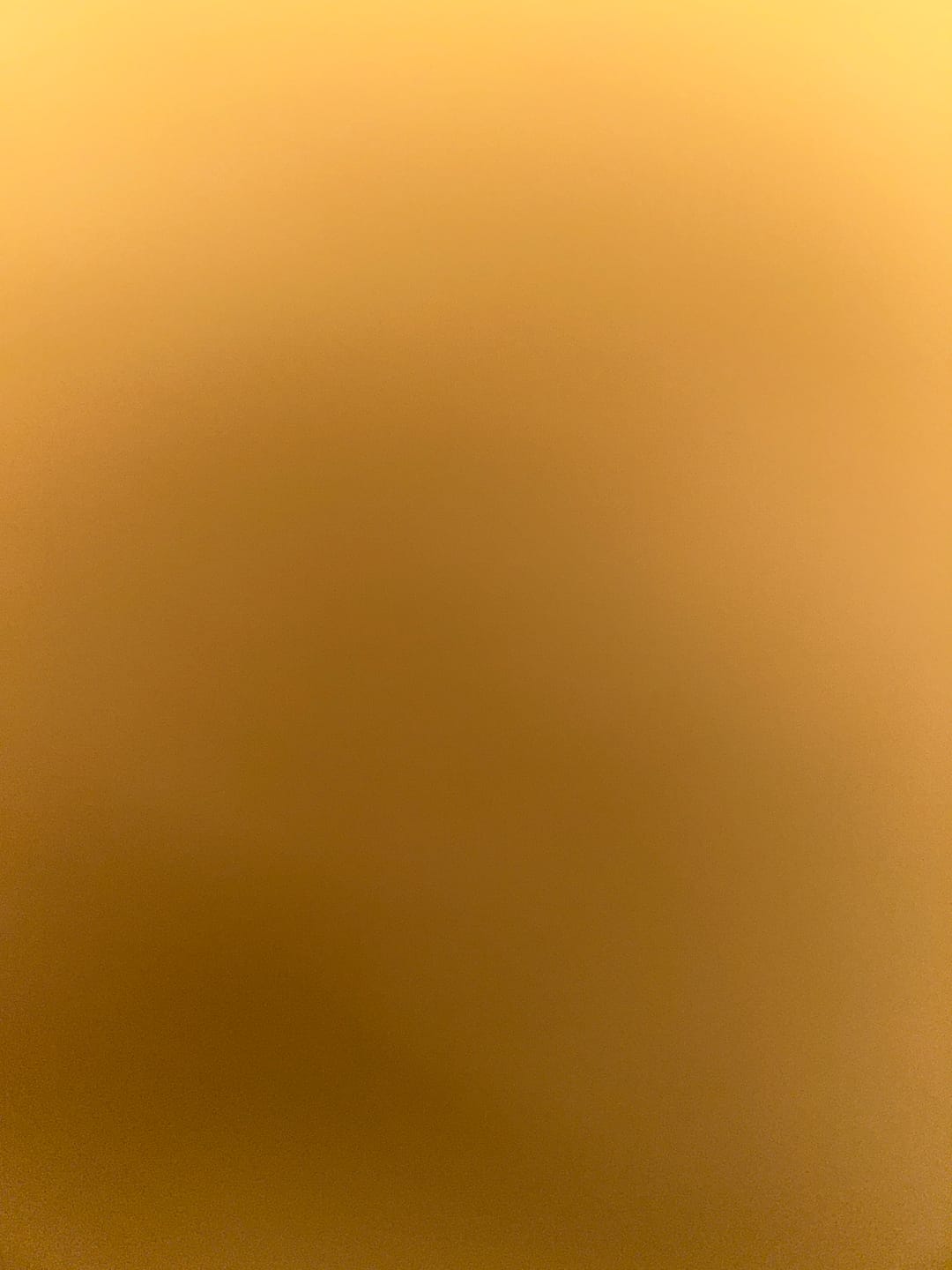 Customer photo review of LABEL BODYSUIT BUTTER YELLOW