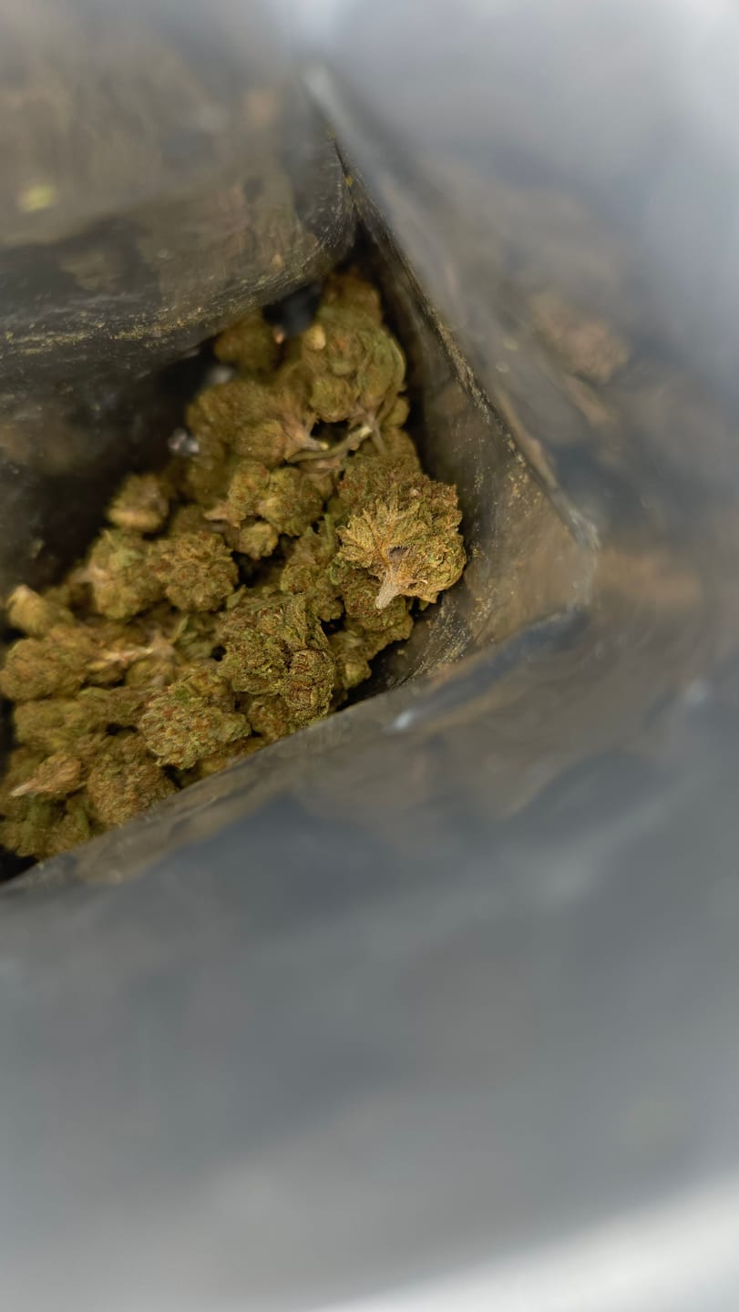 Customer photo review of Blackout Berries THCA Flower Ounce (28g)