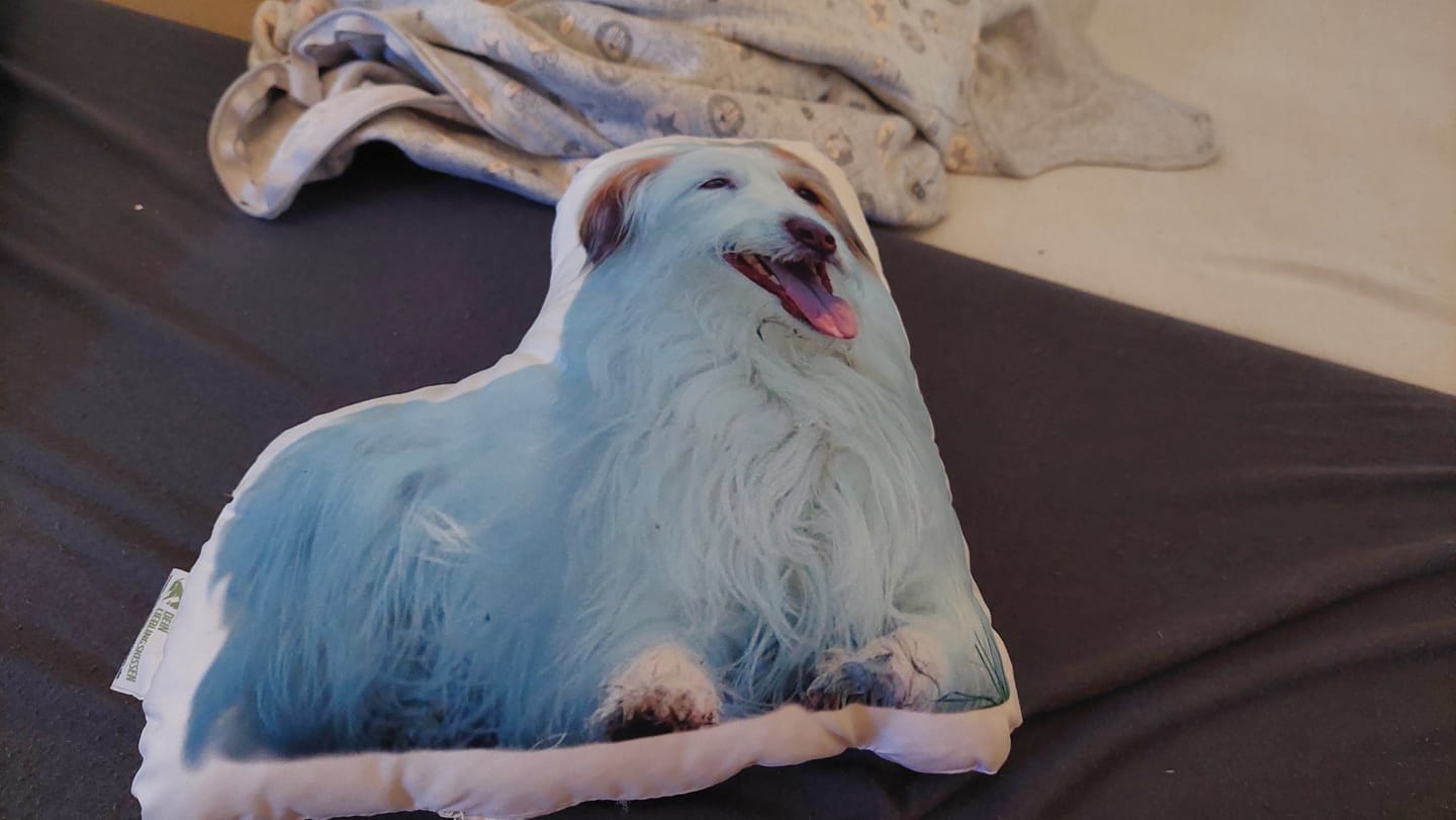 Customer photo review of Personalisiertes Hundekissen