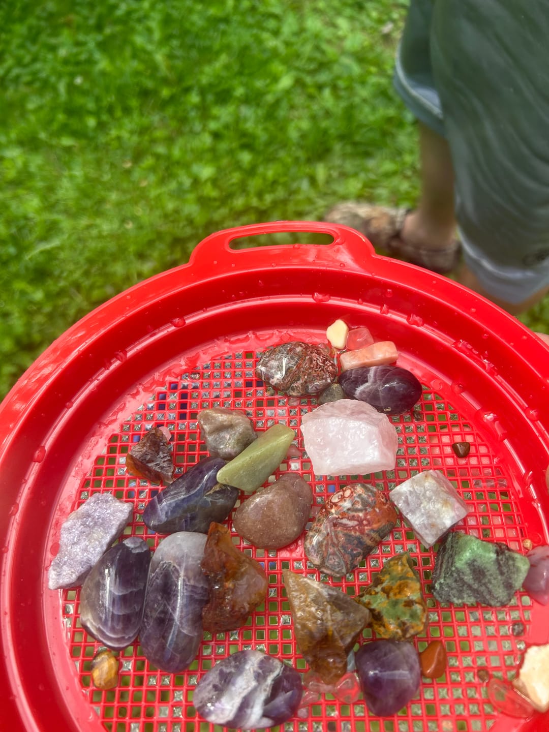 Customer photo review of The Big Dig - 5 Gallon Mining Bucket