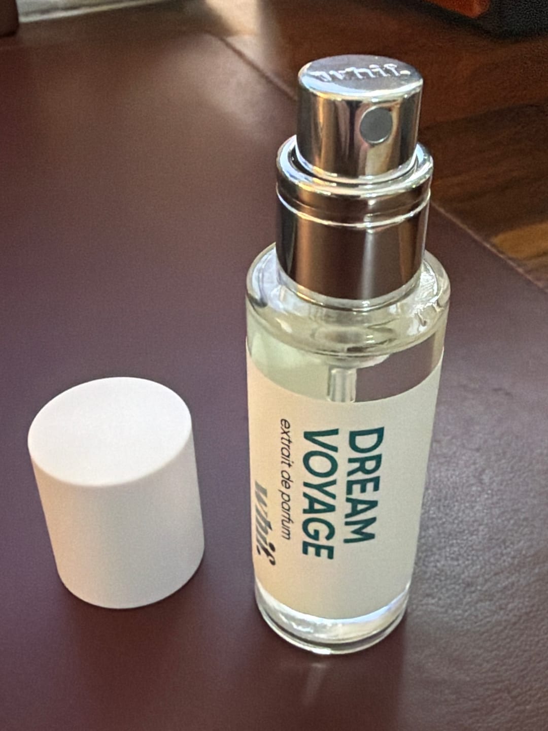 Customer photo review of Dream Voyage