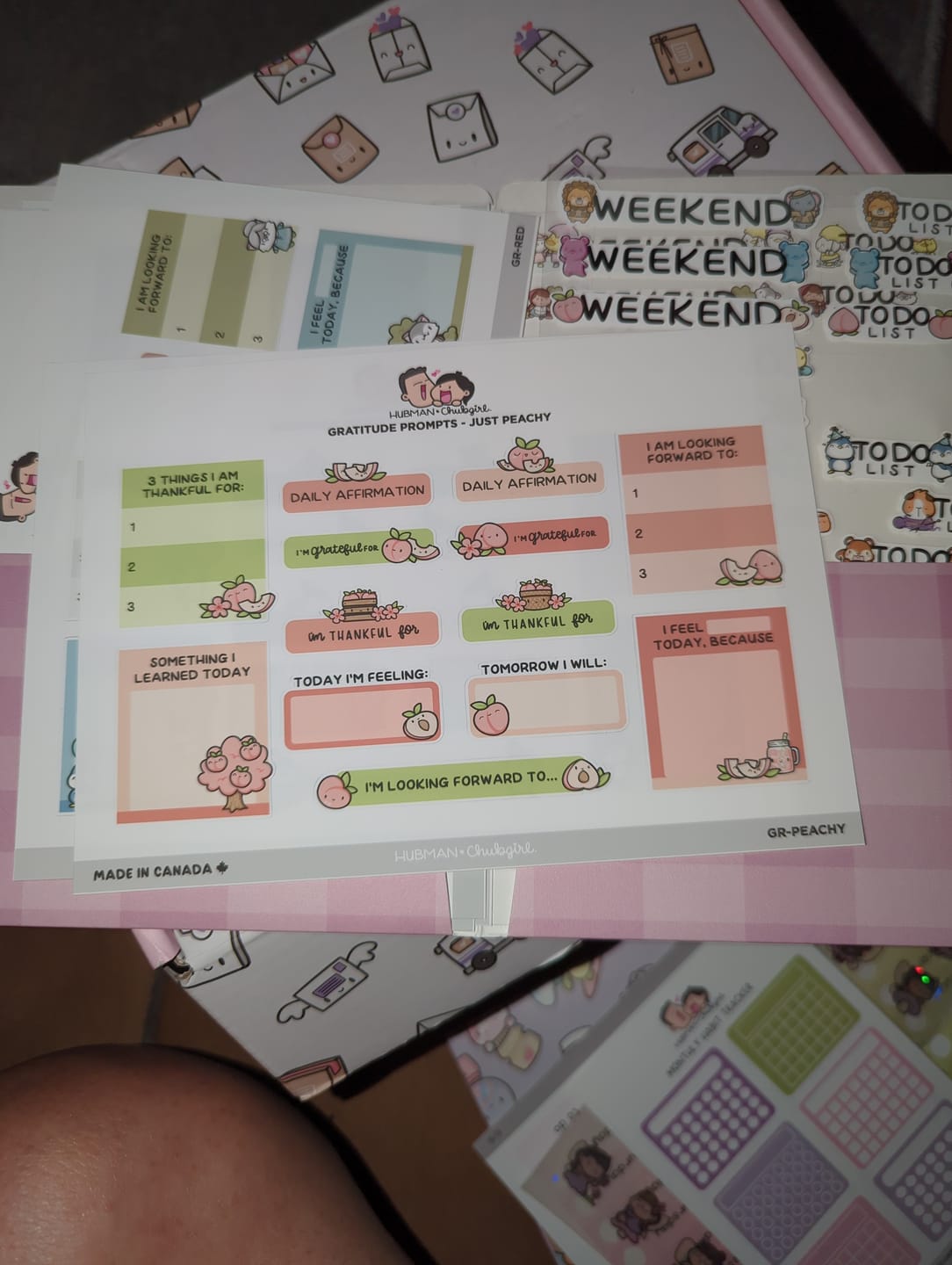 Customer photo review of Sticker Sheet - Gratitude Prompts Just Peachy Theme