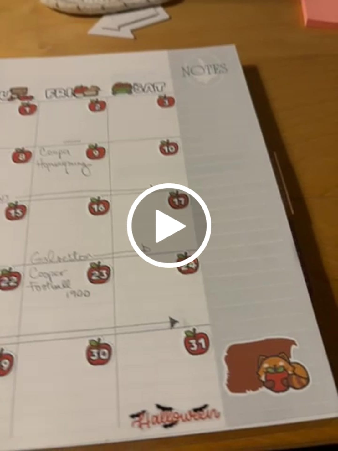 Customer video review of Fall Pandas Days and Date Covers